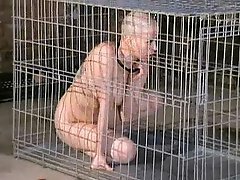 Dog cage. Kumi Monster is humiliated and treated as a dog inside a cage
