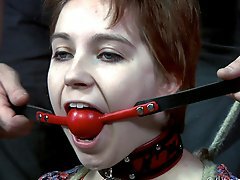 Master A. Piper Gets Caught Lying
